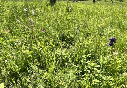 24-05-18 16-12-08 9473